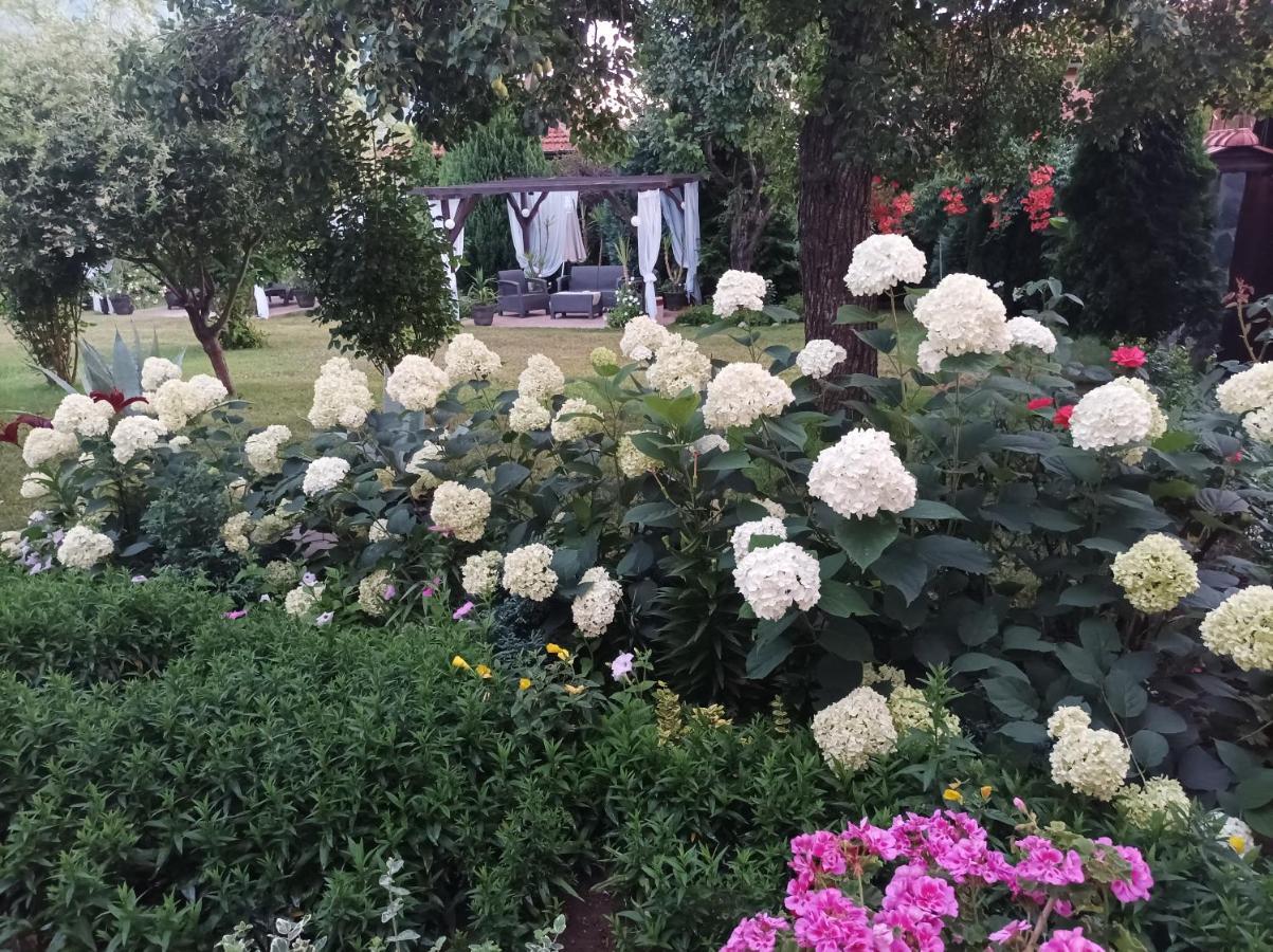 Къща за гости Дида Сапарева Баня Екстериор снимка